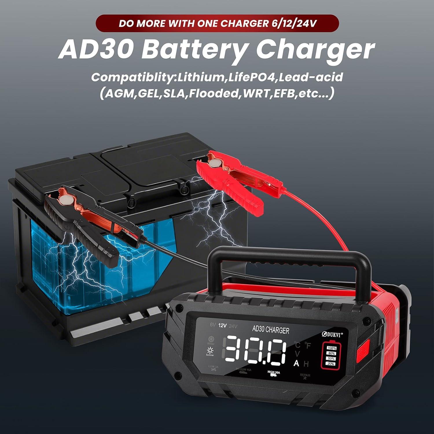 Cargador Inteligente DUKVI 30A 6V/12V/24V para Baterías