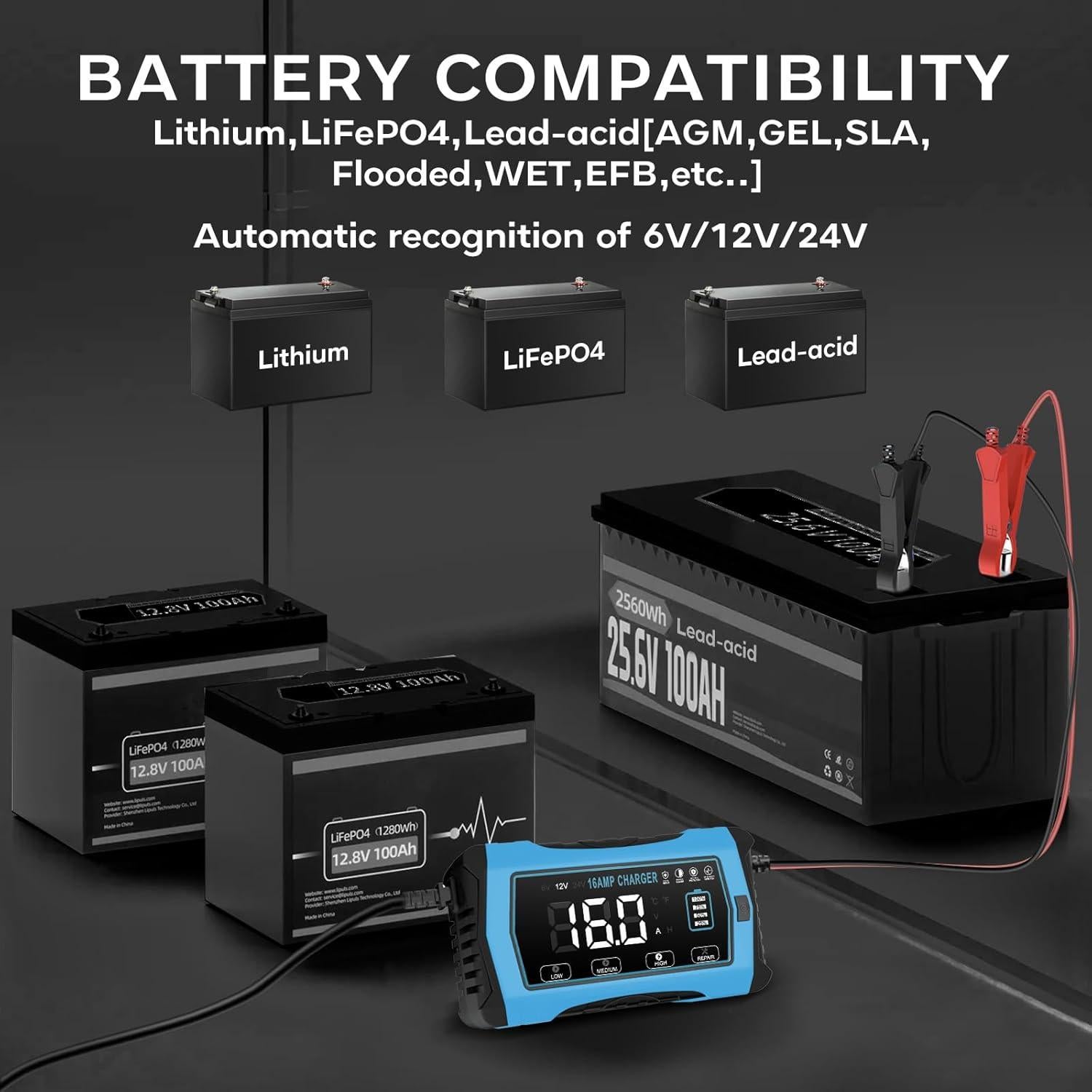 Cargador de Batería Inteligente 16A WPKJ 6V/12V/24V