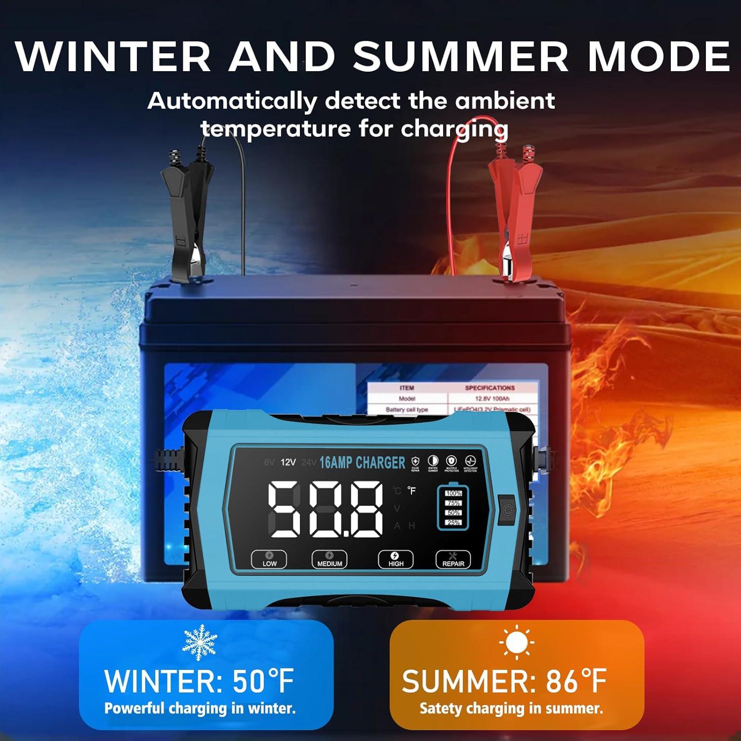 Cargador de Batería Inteligente 16A WPKJ 6V/12V/24V