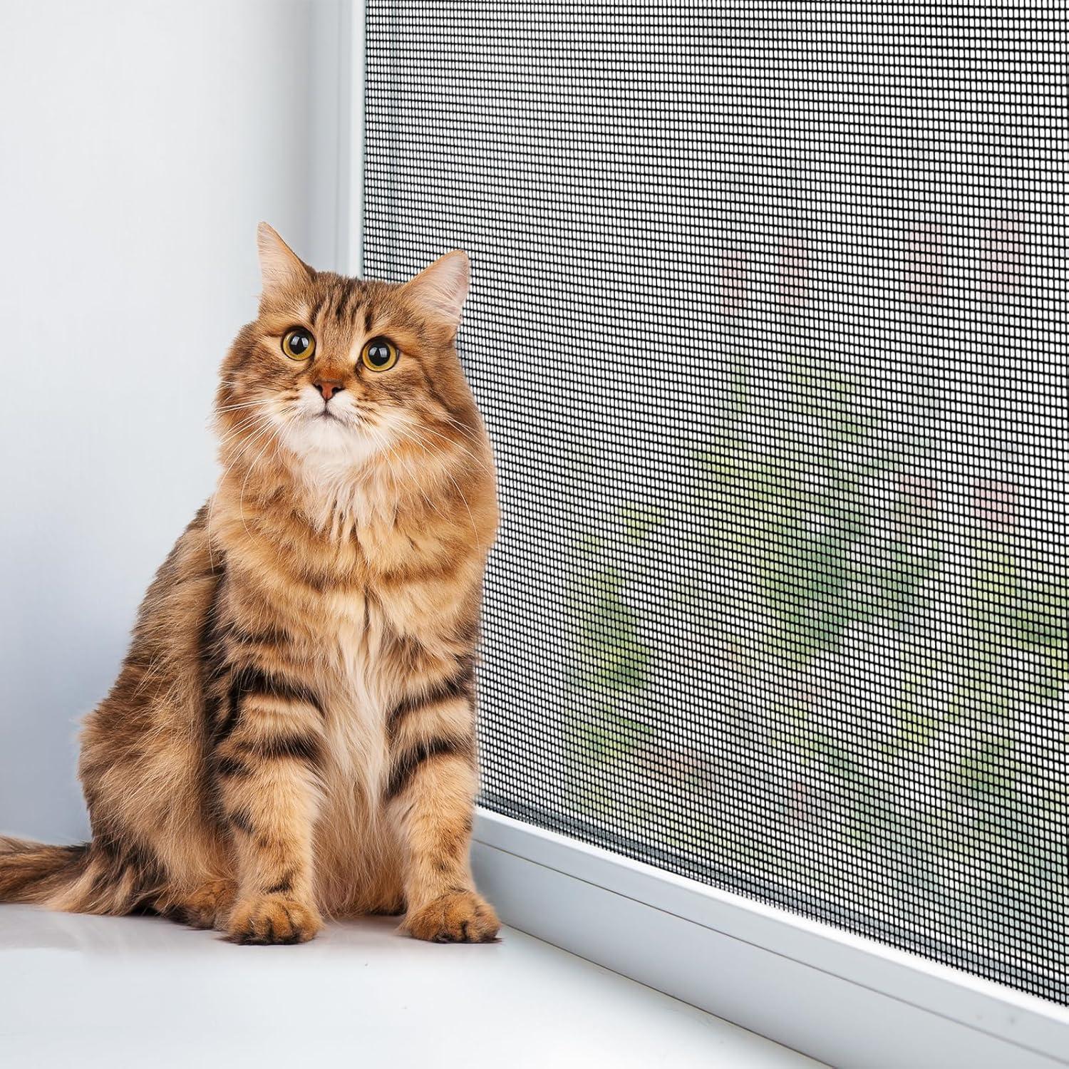 Kit de Pantalla para Mascotas Yoochee 36x100 cm Negro