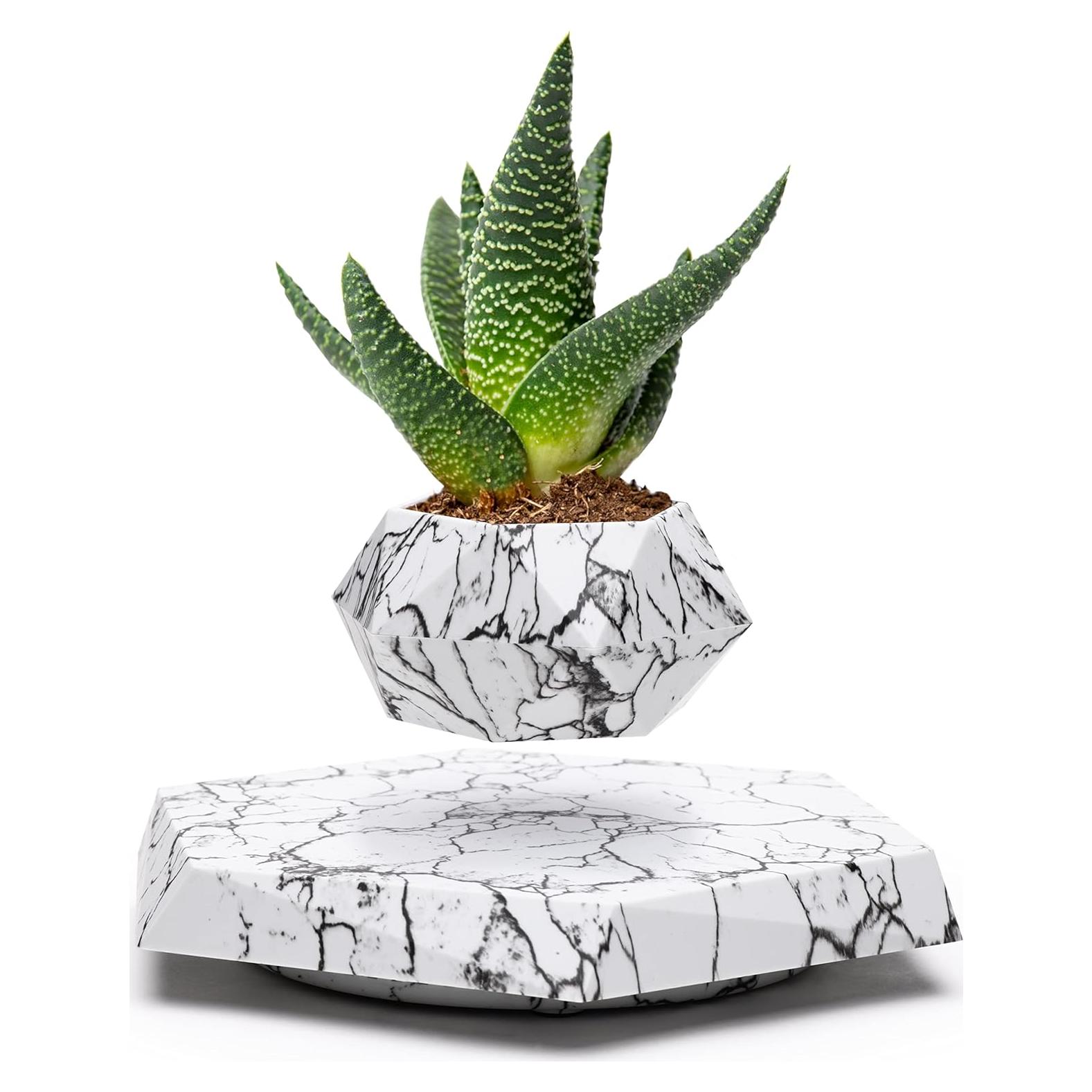 Maceta levitante BandD para suculentas y plantas aéreas