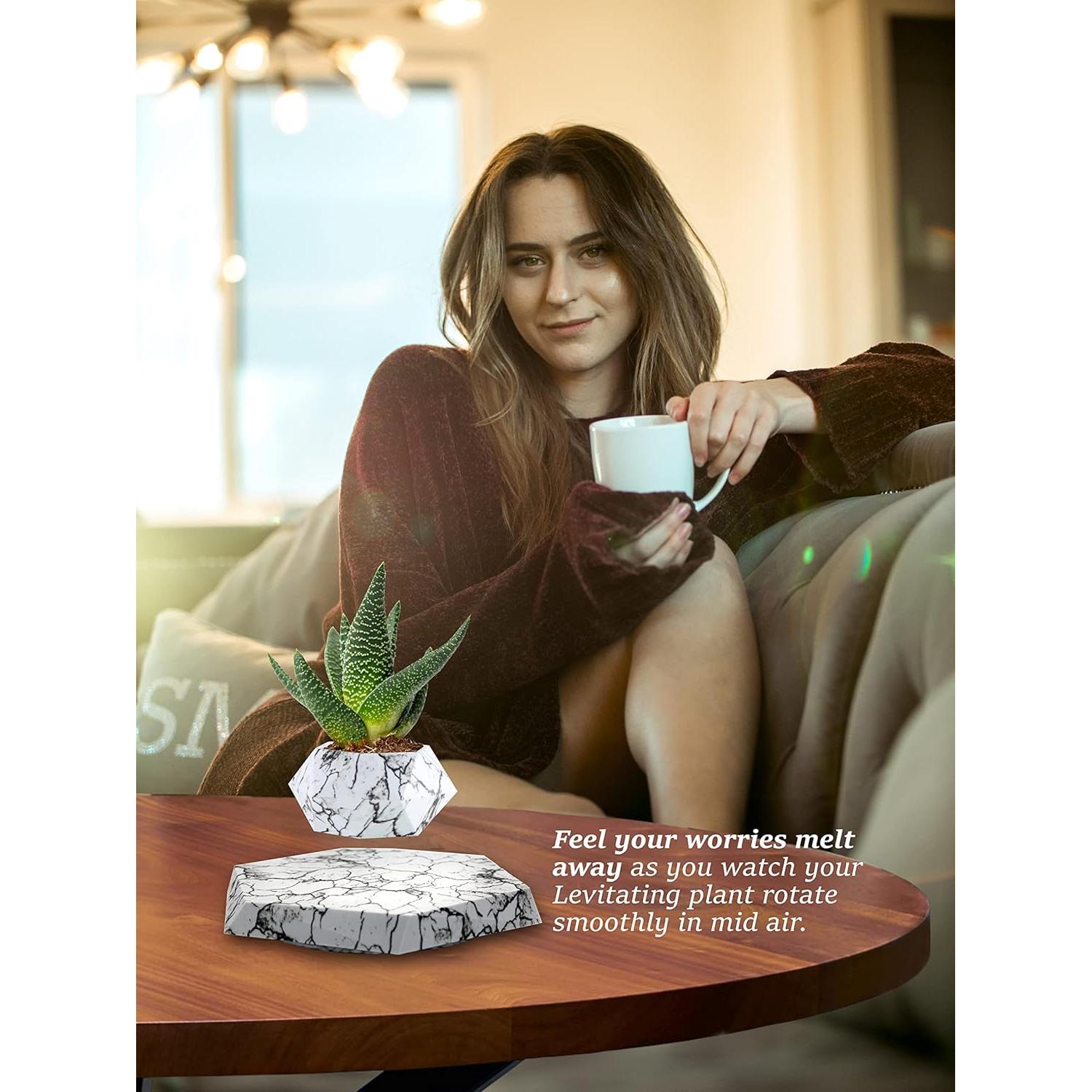 Maceta levitante BandD para suculentas y plantas aéreas