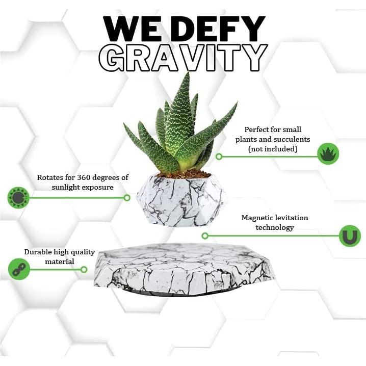 Maceta levitante BandD para suculentas y plantas aéreas