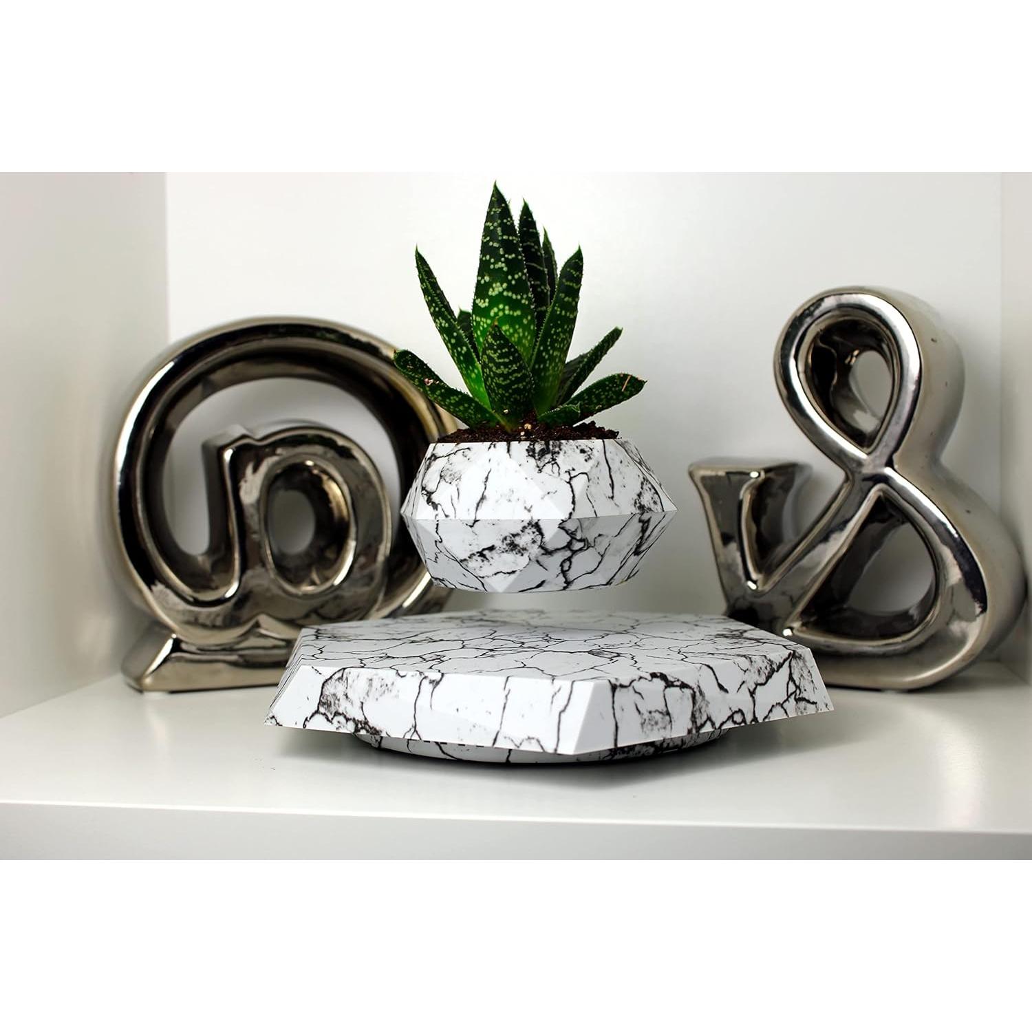 Maceta levitante BandD para suculentas y plantas aéreas