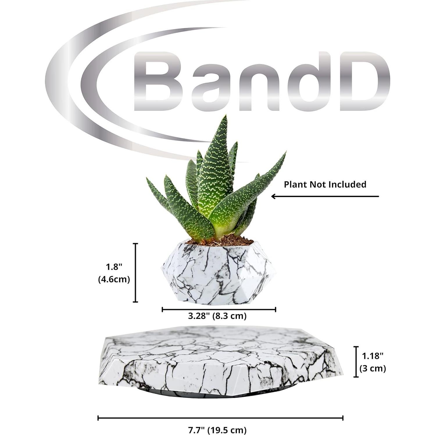 Maceta levitante BandD para suculentas y plantas aéreas