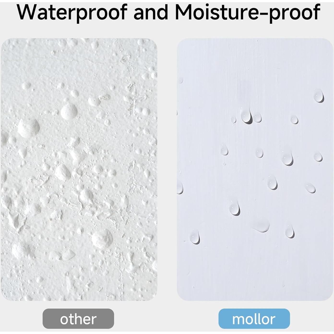 Kit de Reparación de Paredes Mollor 1kg - Masilla y Raspador