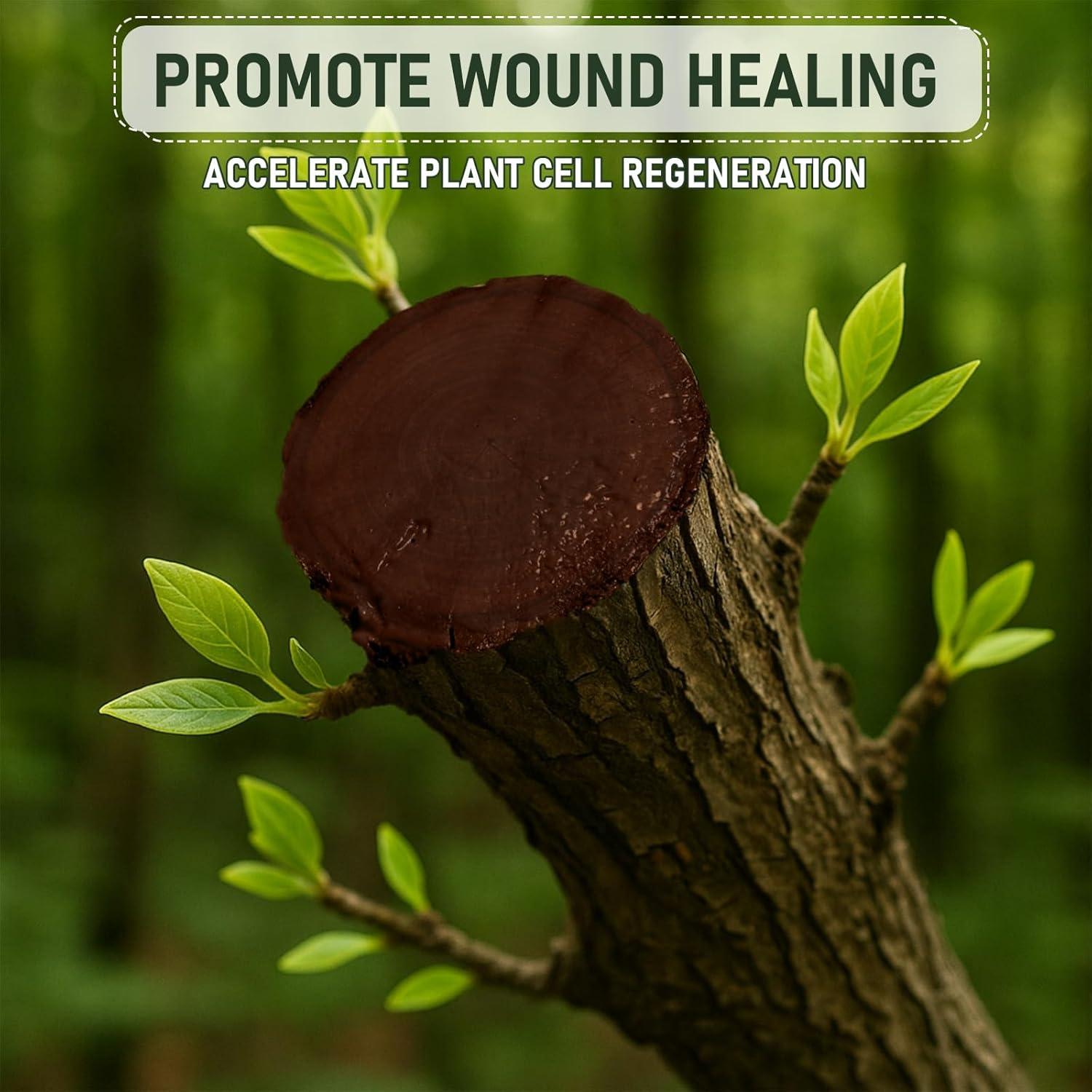 Sellador de Heridas de Árbol Meuvcol 500g - Protección Efectiva