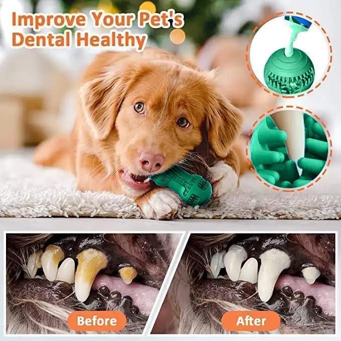 Juguete Rellenable para Perros Moritas - Limpieza Dental Verde Aqua