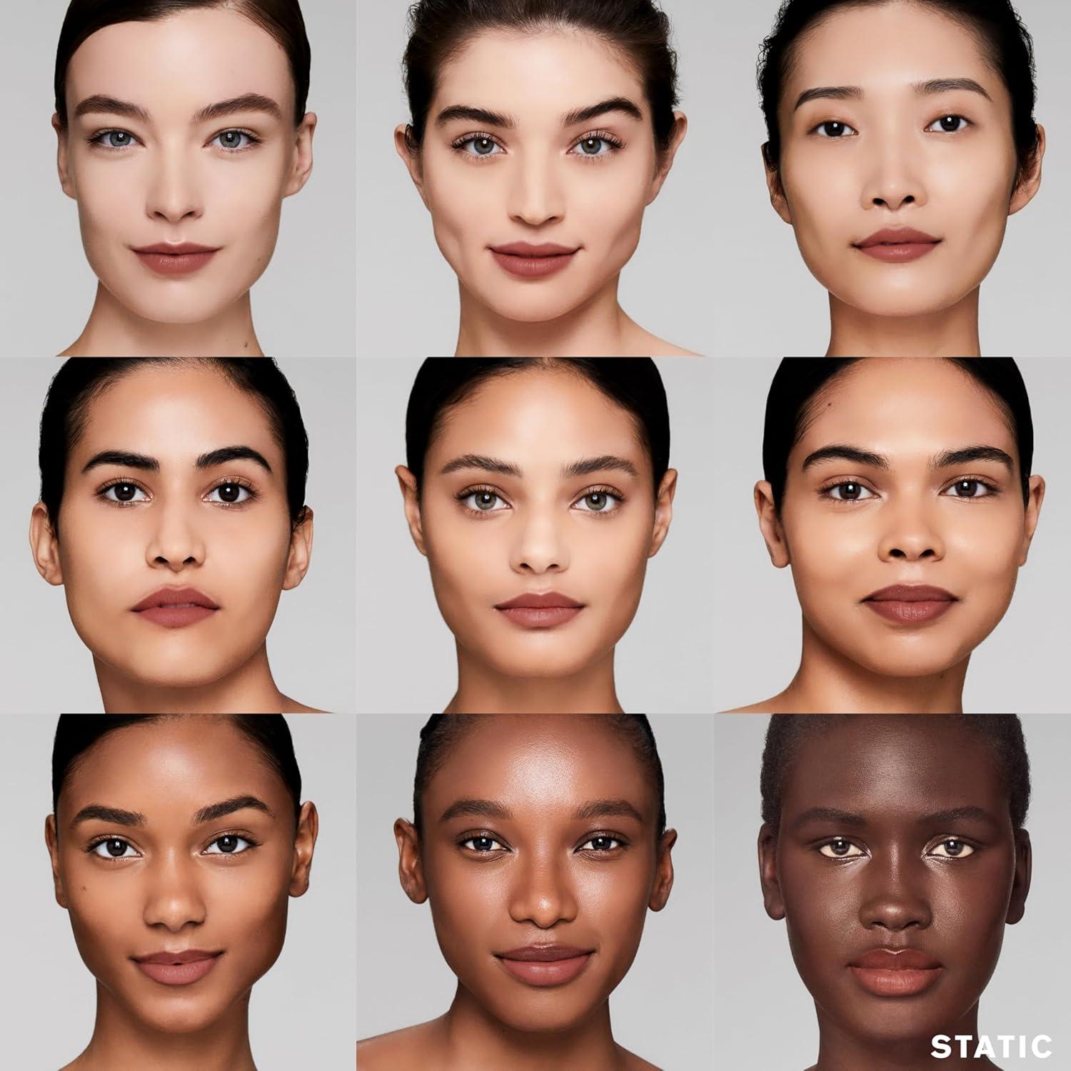 Lápiz Labial Mate Estée Lauder Pure Color 101 Static 12h