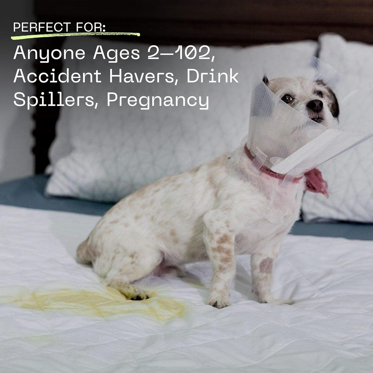 Protector de Cama Impermeable Coop Home Goods Rey 100x152cm