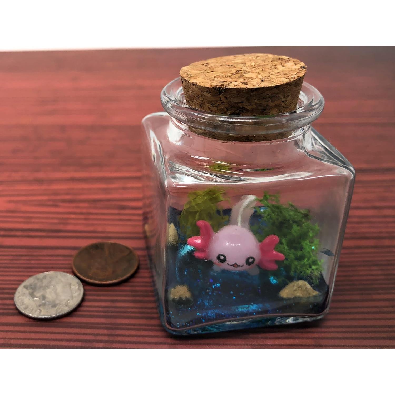 Mini Mascota Axolote con Certificado de Adopción - Fish Belli