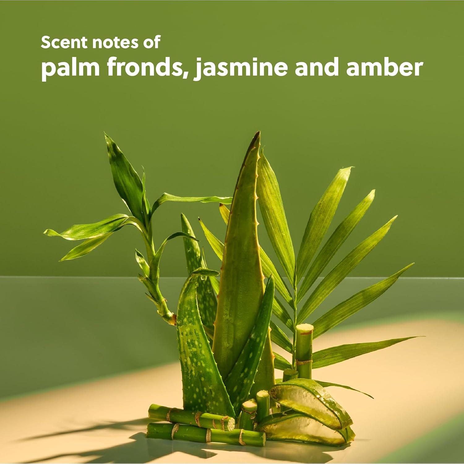 Suero Corporal Tree Hut Hydraglow Palm Grove 311 g