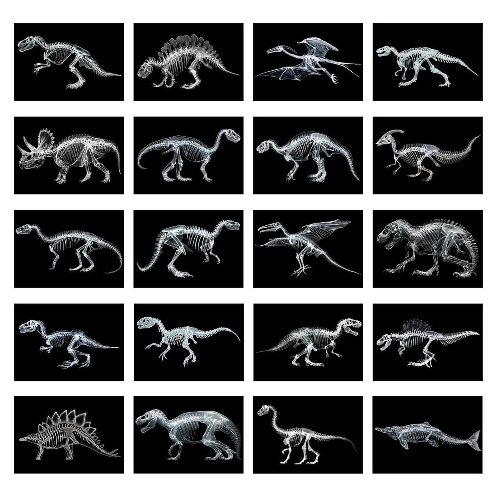 Kit Educativo de Rayos X de Dinosaurios Chunful - 20 Pcs