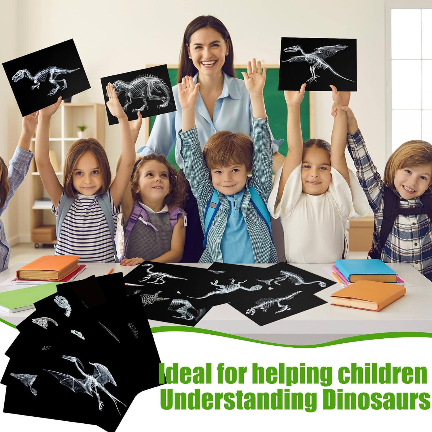 Kit Educativo de Rayos X de Dinosaurios Chunful - 20 Pcs