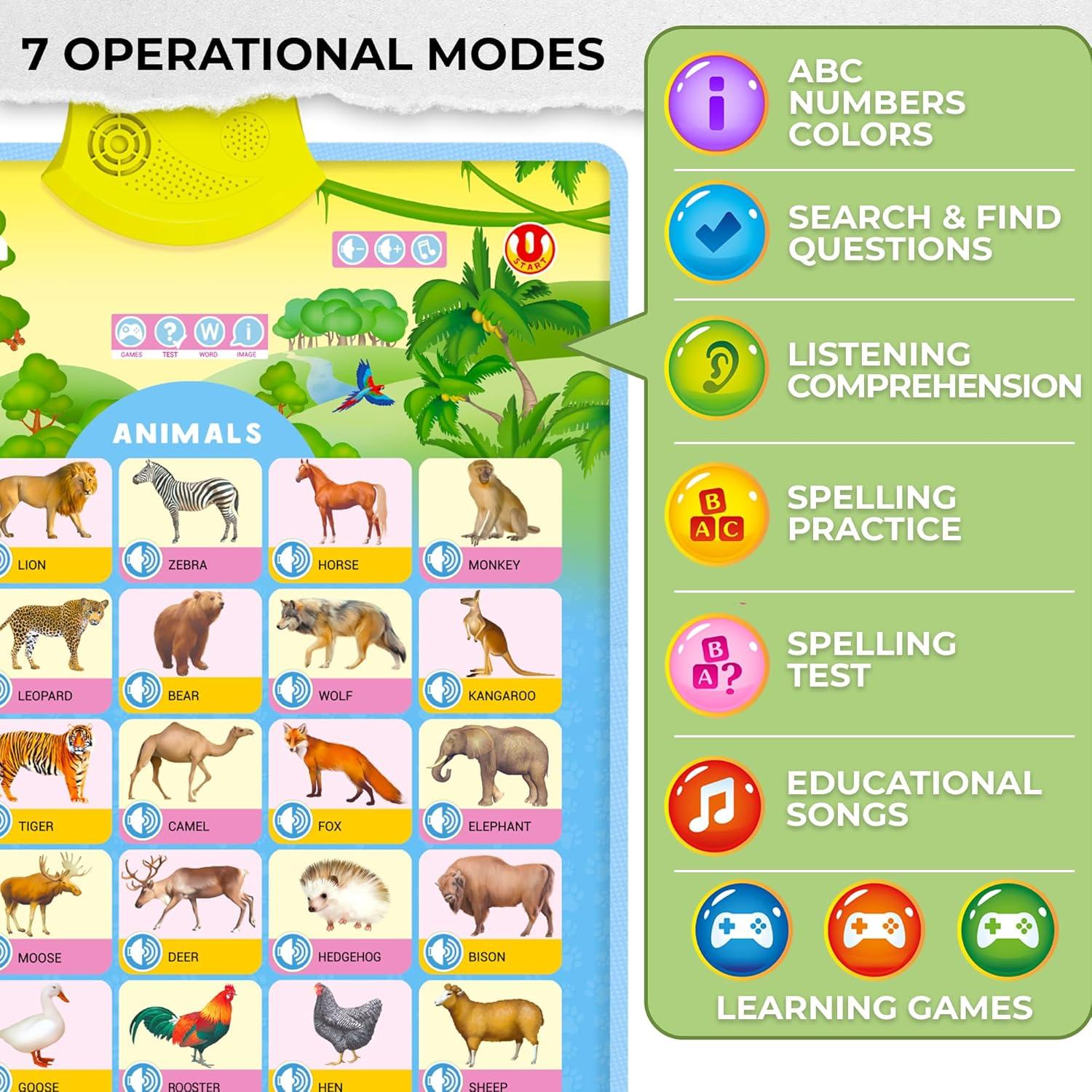 Juguetes Educativos QUOKKA - Conjunto 4 Gráficos ABC 3-12 Años