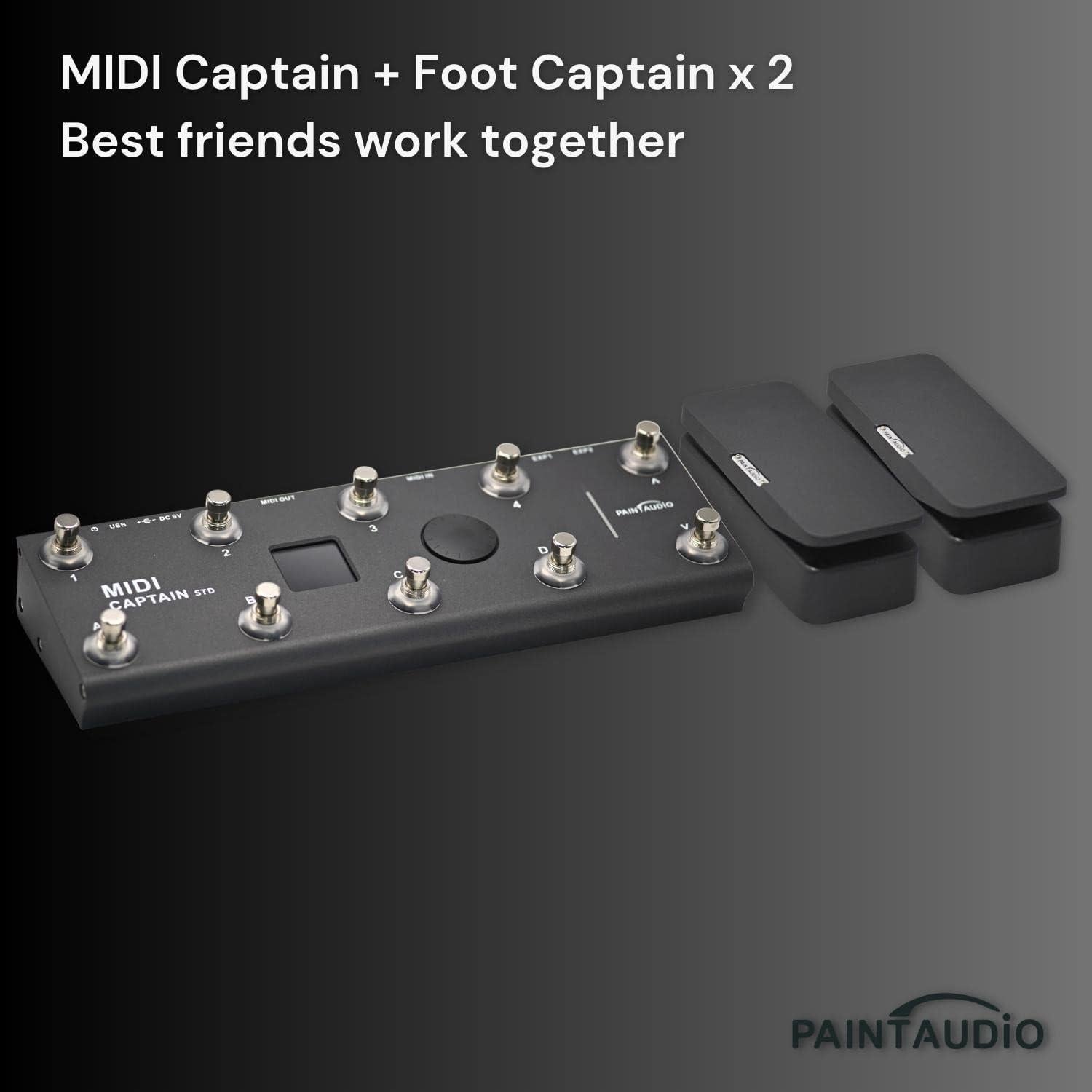 Pedal de Expresión Foot Captain Audio Paint Doble Salida 9V