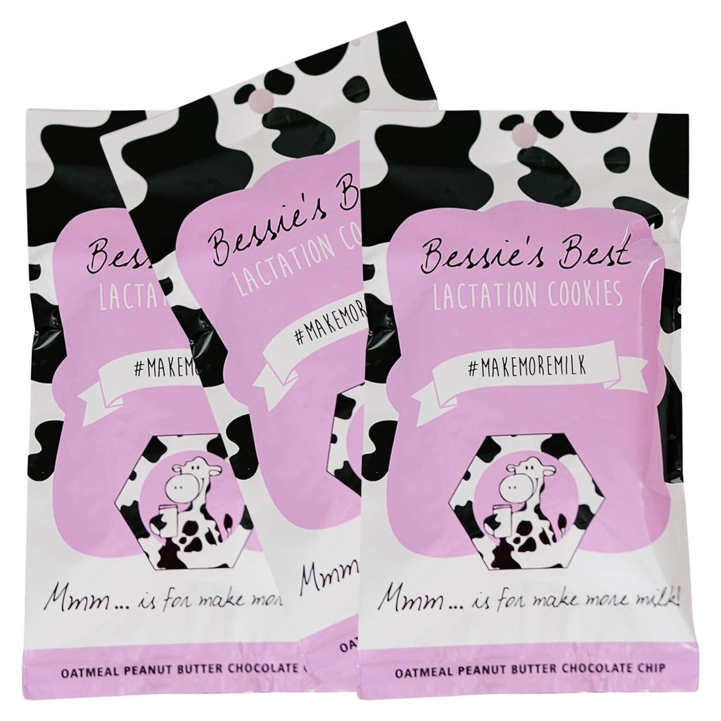 Galletas de Lactancia Bessie 680g | Avena y Chocolate