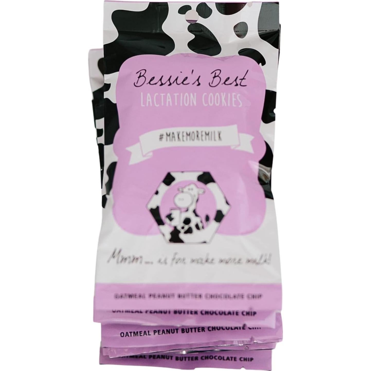 Galletas de Lactancia Bessie 680g | Avena y Chocolate