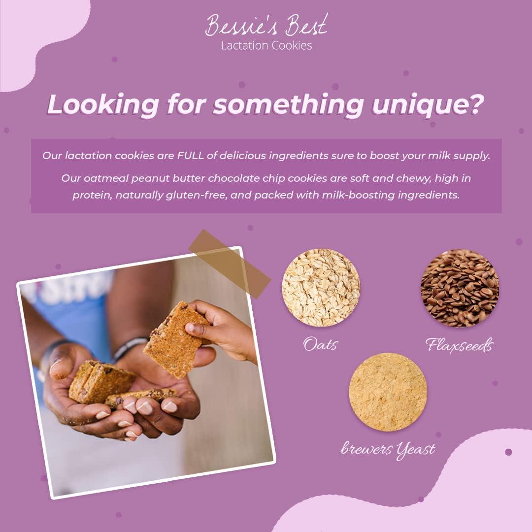 Galletas de Lactancia Bessie 680g | Avena y Chocolate