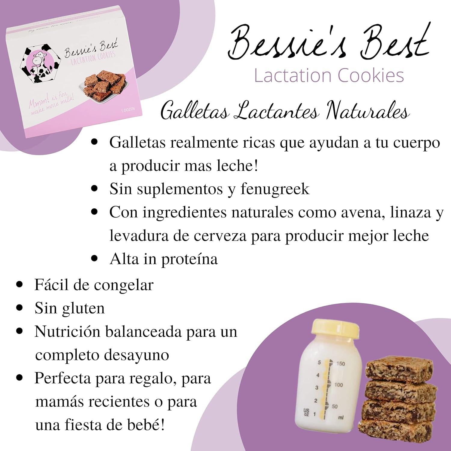 Galletas de Lactancia Bessie 680g | Avena y Chocolate