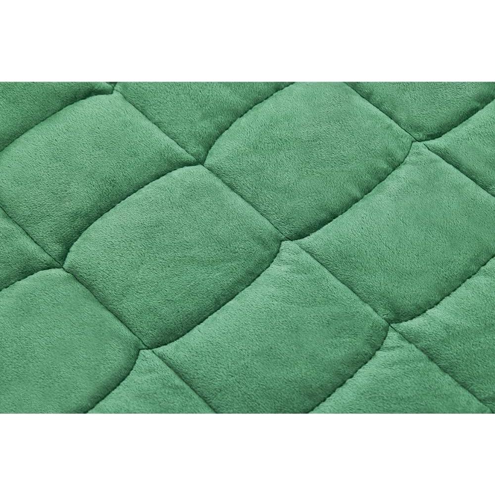 Manta con peso TONGDADA 3.18 kg Minky verde oscuro 74x61 cm