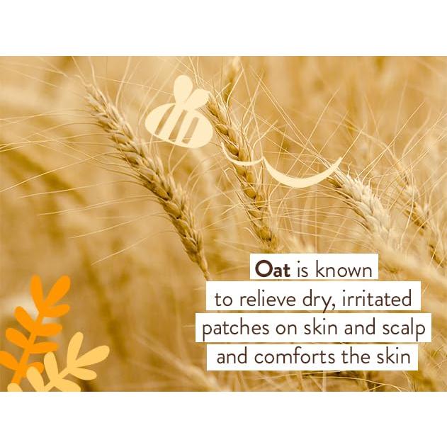 Baño de Burbujas y Lavado Babo Botanicals 15 oz Vegano