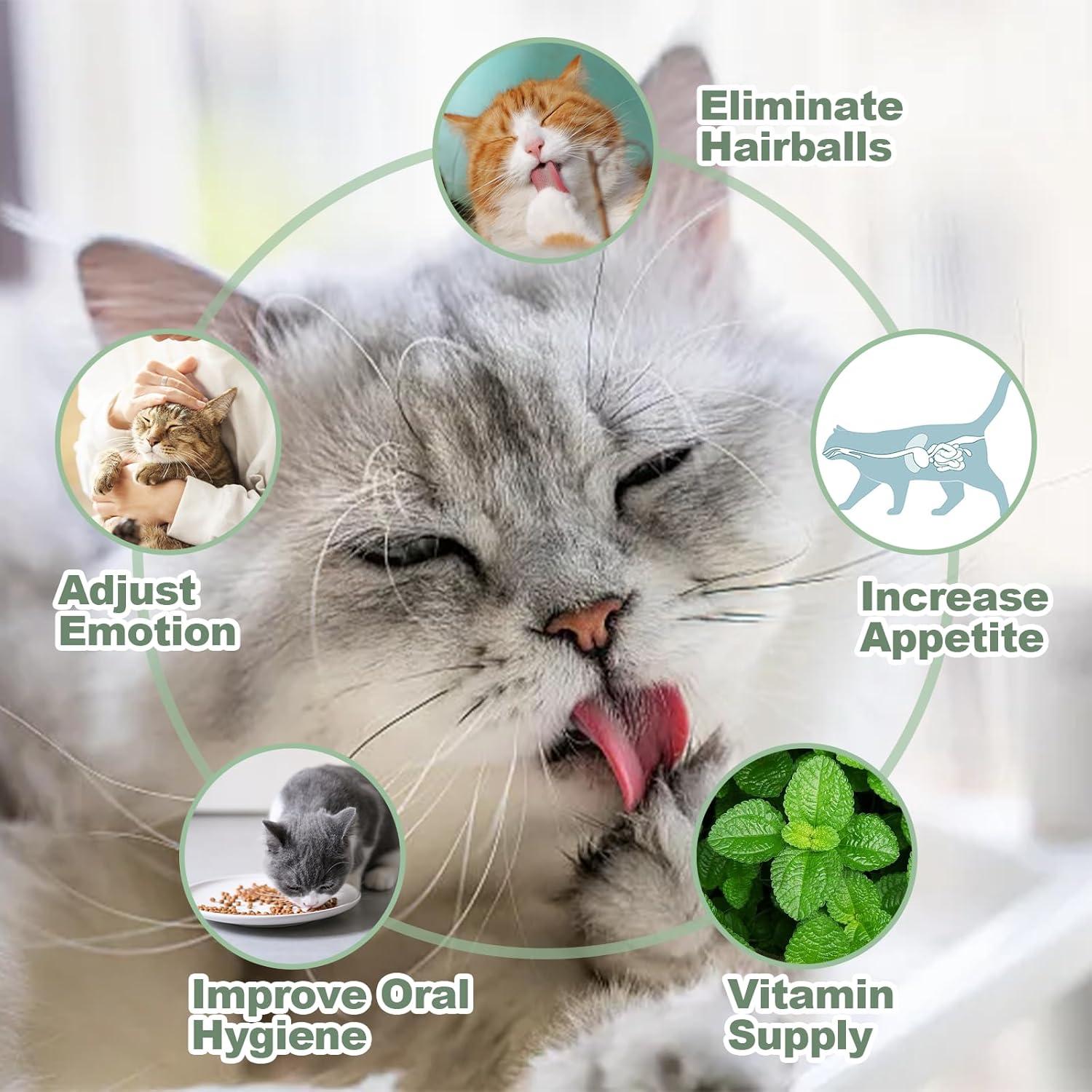 6 Pelotas de Hierba Gatera BluGun + Peine para Gato