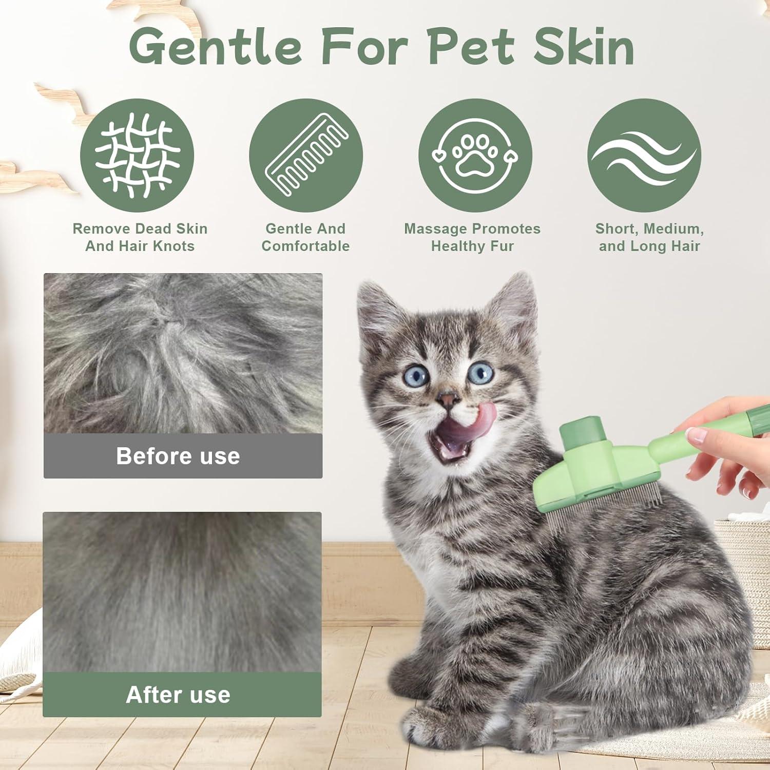 6 Pelotas de Hierba Gatera BluGun + Peine para Gato