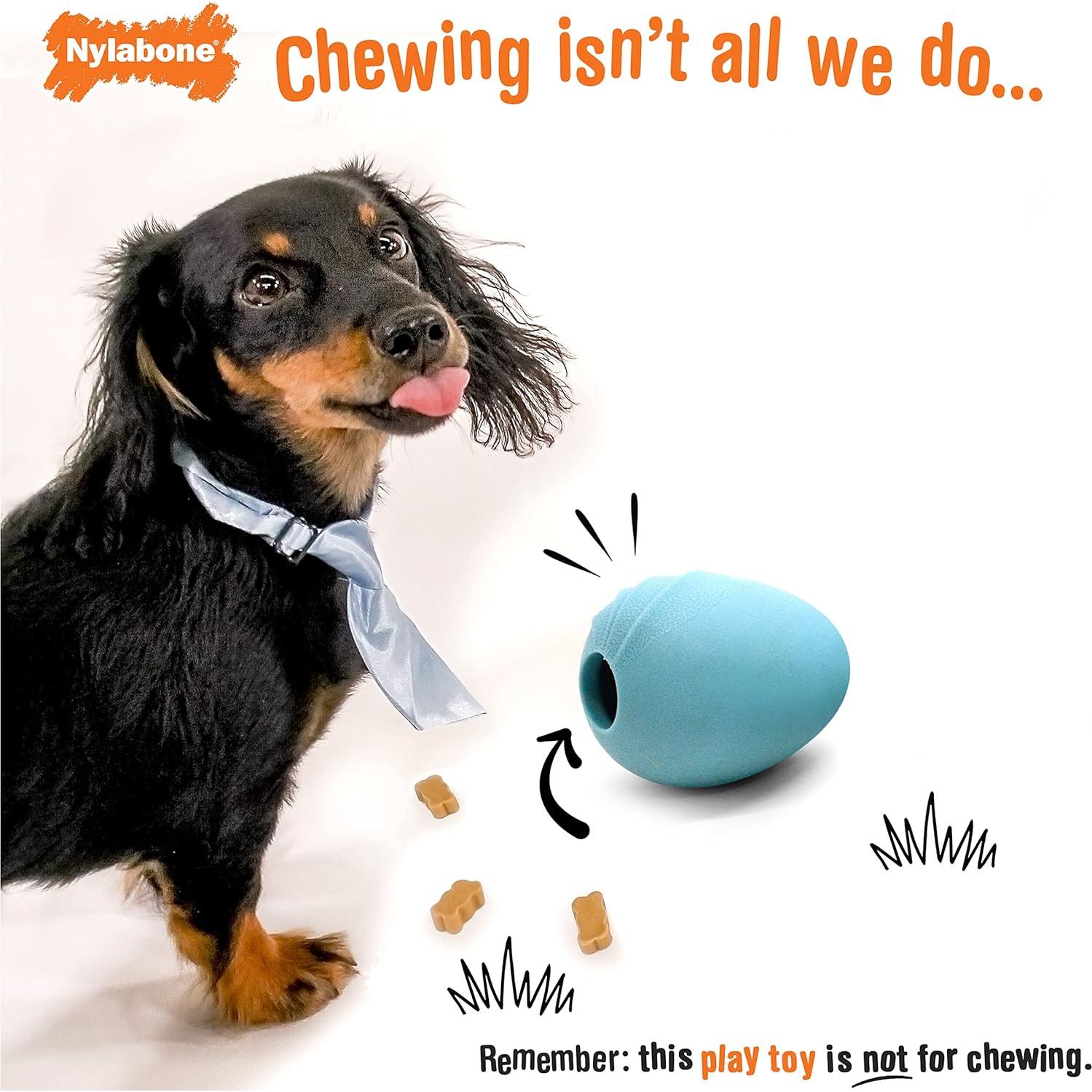 Juguete Interactivo Nylabone Eggi Azul Grande para Perros