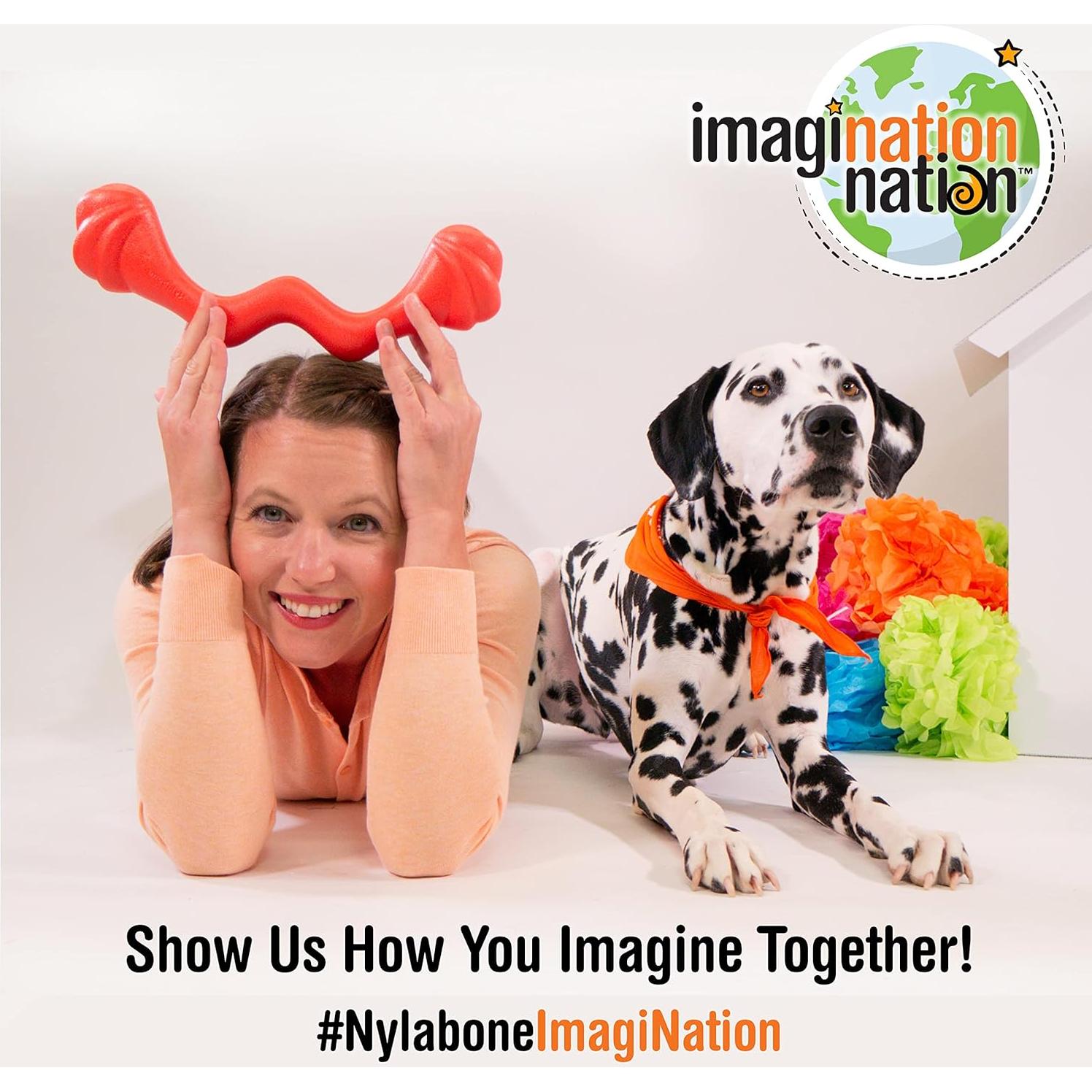 Juguete Interactivo Nylabone Eggi Azul Grande para Perros