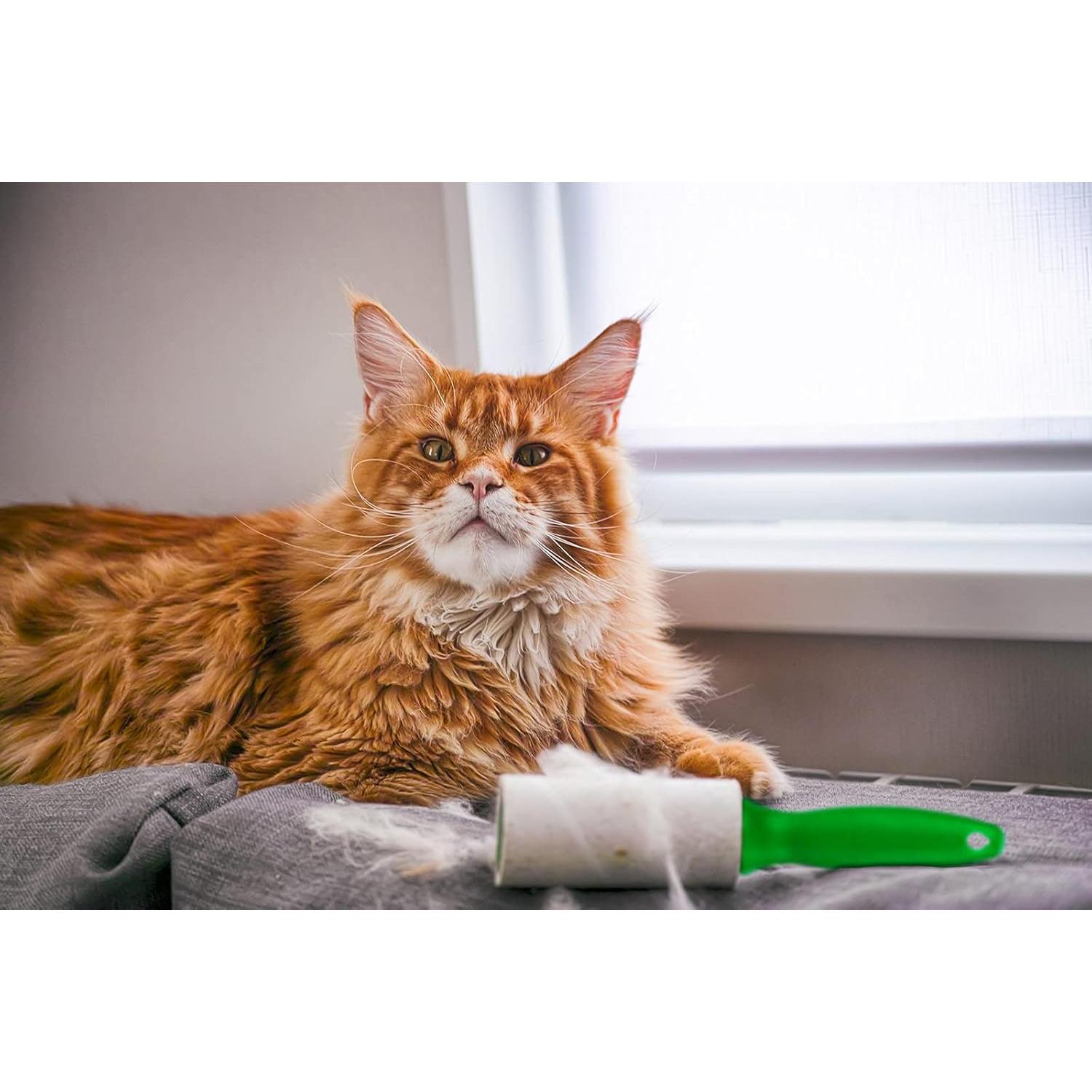 Rodillo de Pelusa DecorRack 180 Hojas Extra Adhesivas