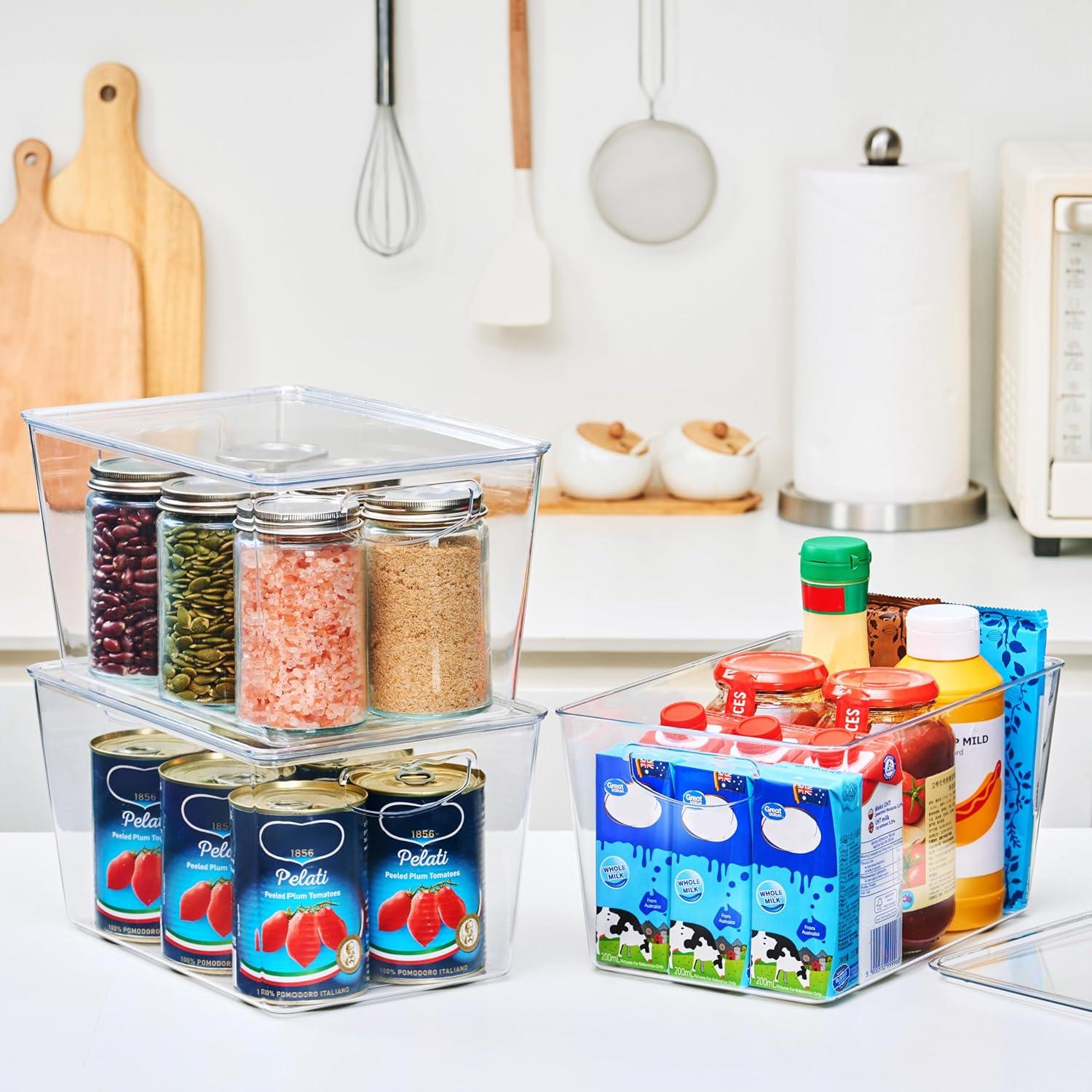 Cajas de Almacenamiento Transparentes Theaoo - Paquete de 10