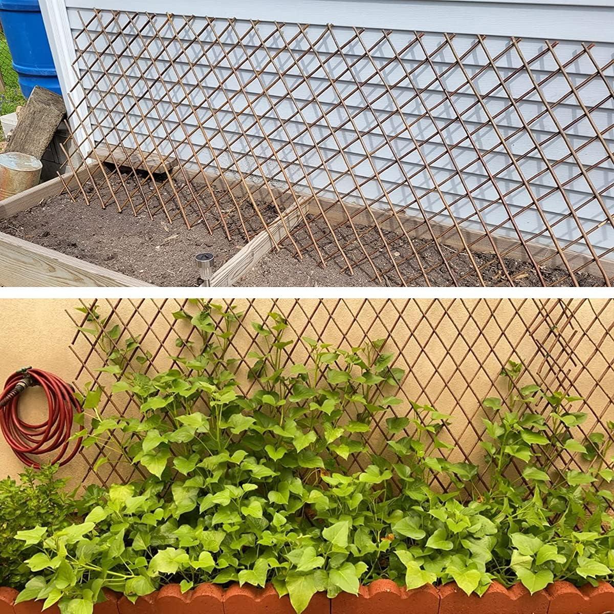 Trellis Expandible JOYSFIT para Plantas 55,88x304,8 cm 4PC