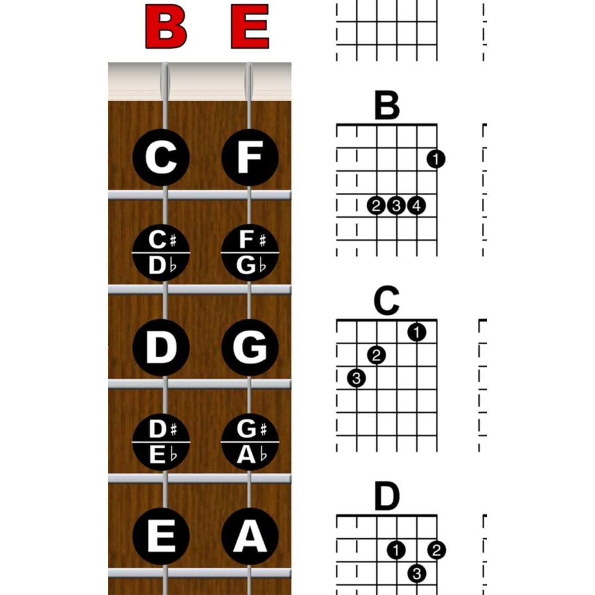 Guía Instruccional Guitarra Laminada 27.94x43.18cm Un Nuevo Canción Música