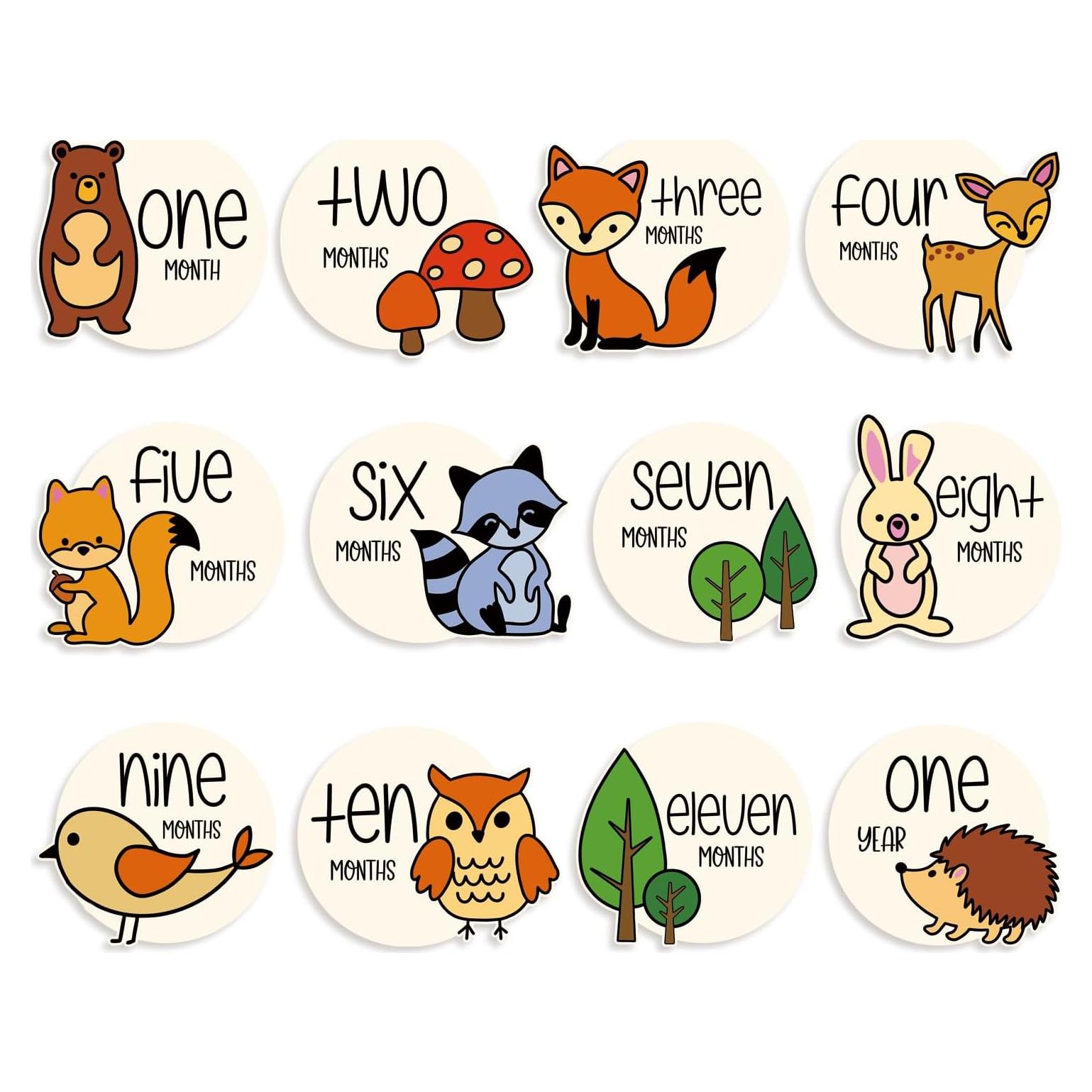 12 Tarjetas de Hitos Mensuales de Madera Bosque Colorido