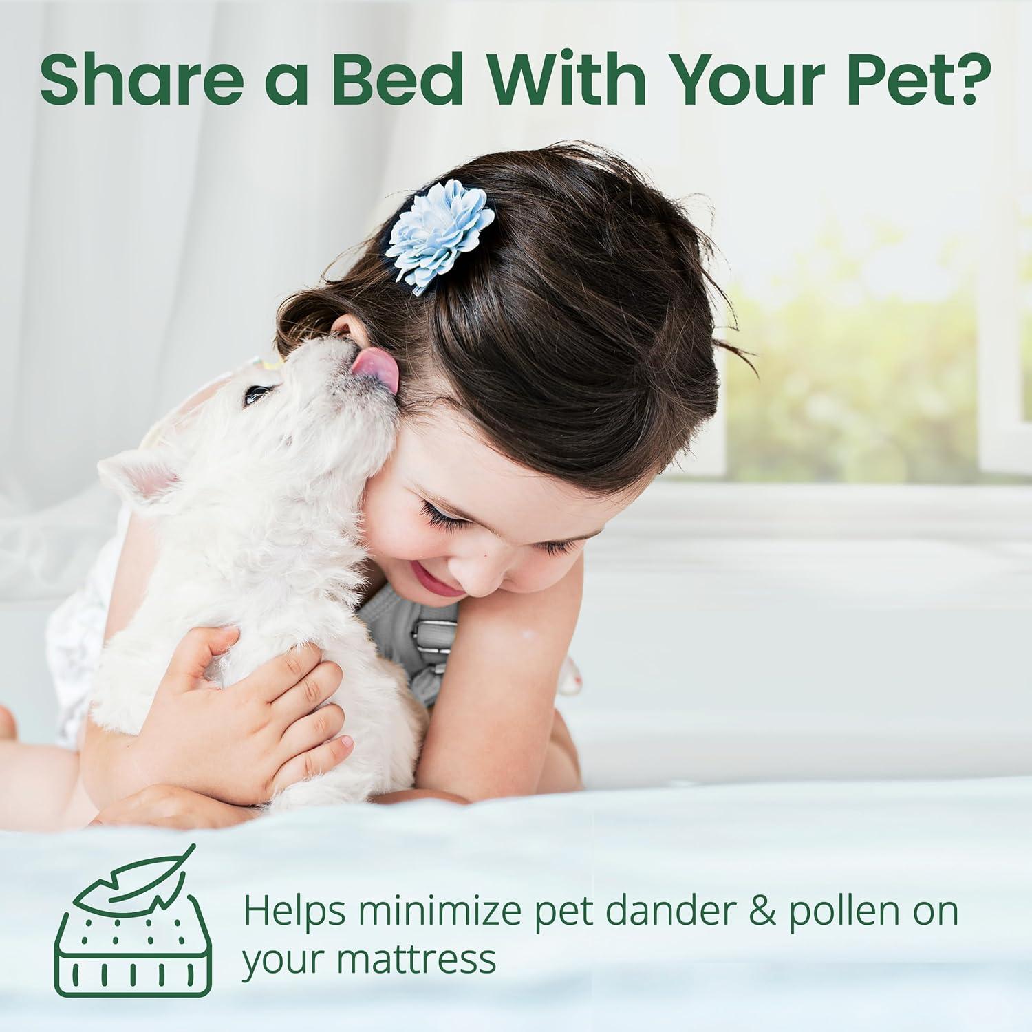 Protector de Colchón Impermeable SafeRest Individual Viscosa