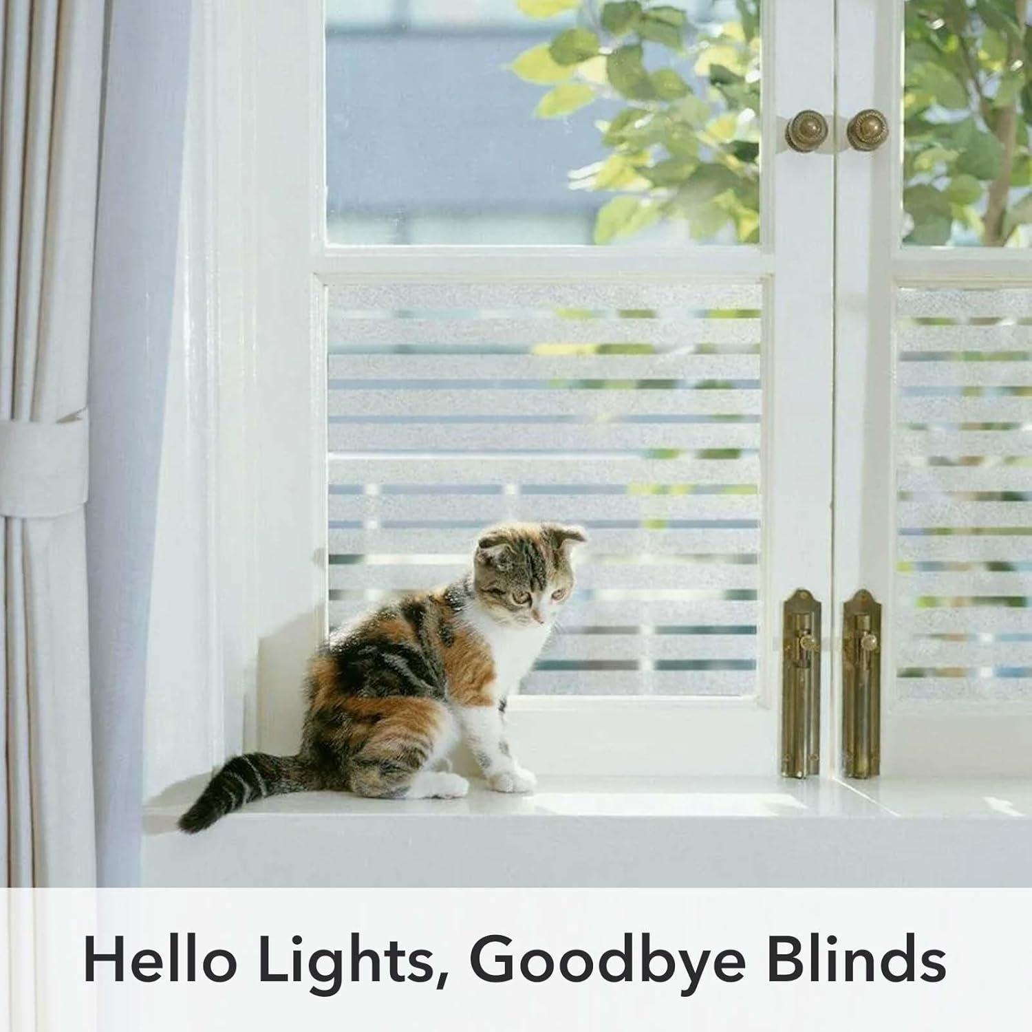 Película de Privacidad para Ventanas VSUDO 45x200 cm Rayas Esmeriladas