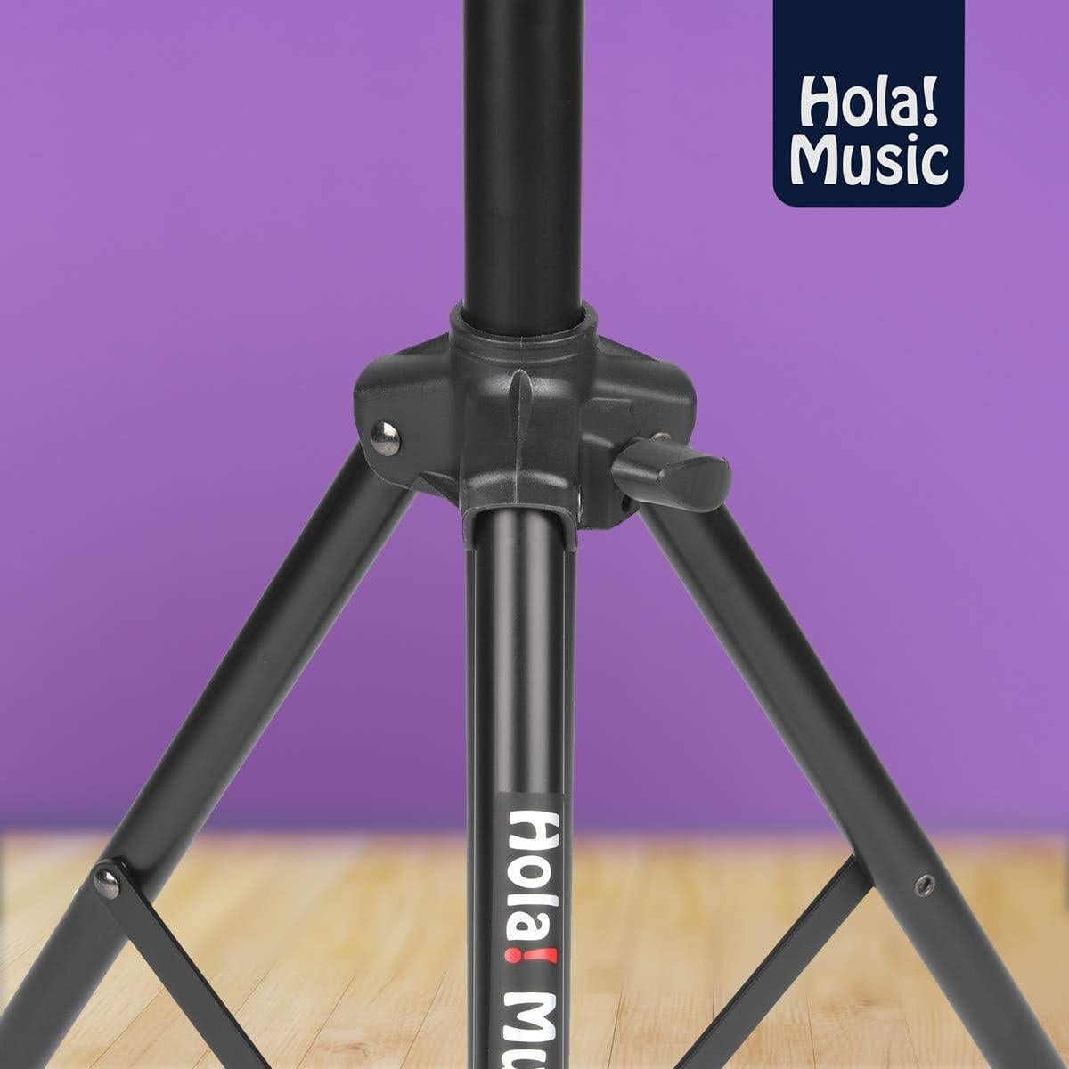 Soporte de Proyector Profesional Hola! Music HPS-290B Negro