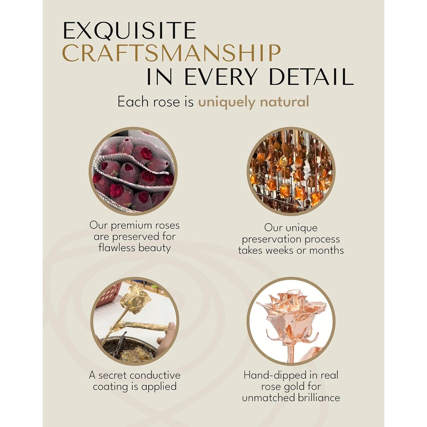 Rosa Eterna Oro Rosa - 2 Rosas Reales en Jarrón Acrílico