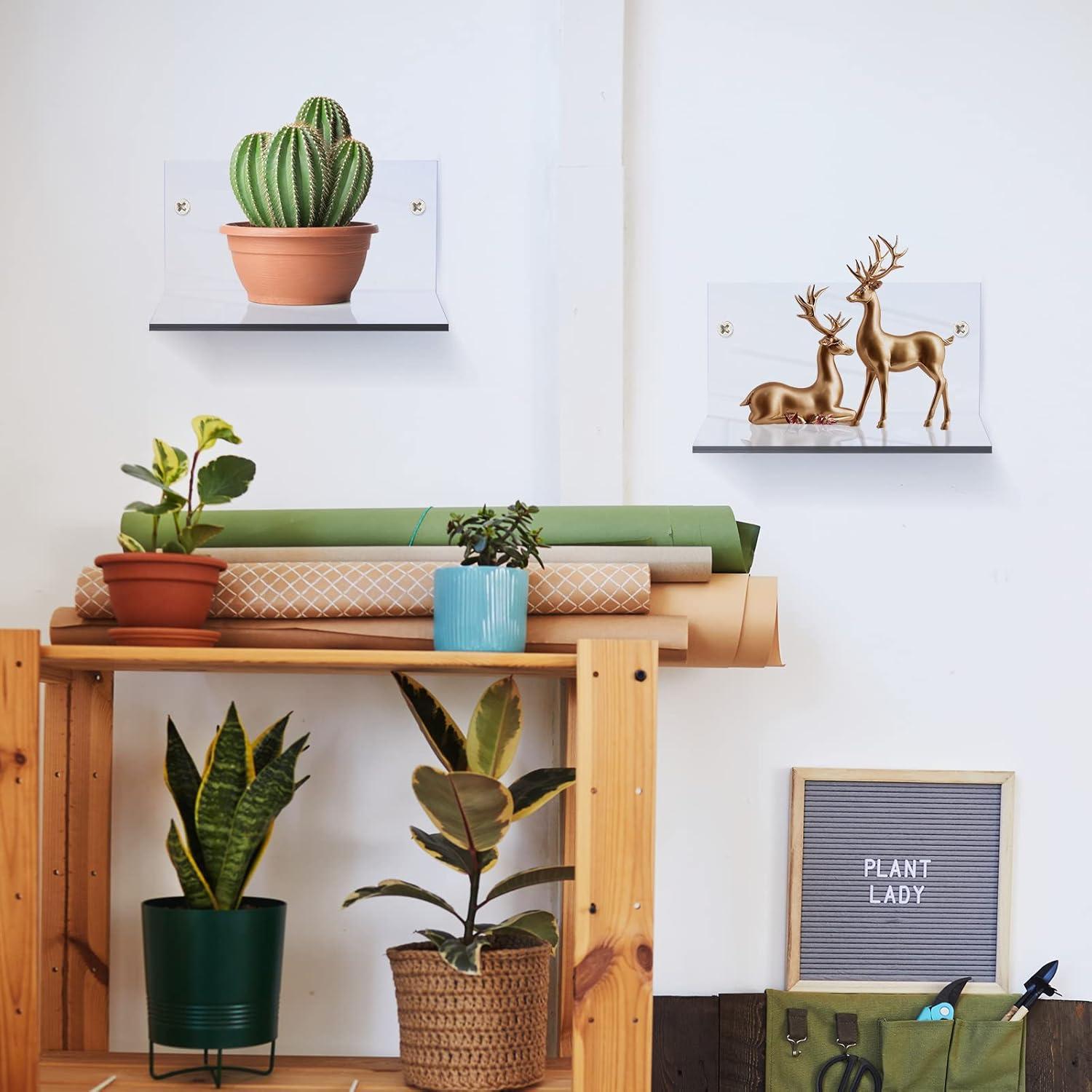 Estantes Flotantes Acrílicos Yalikop 10 Piezas 10x5 cm