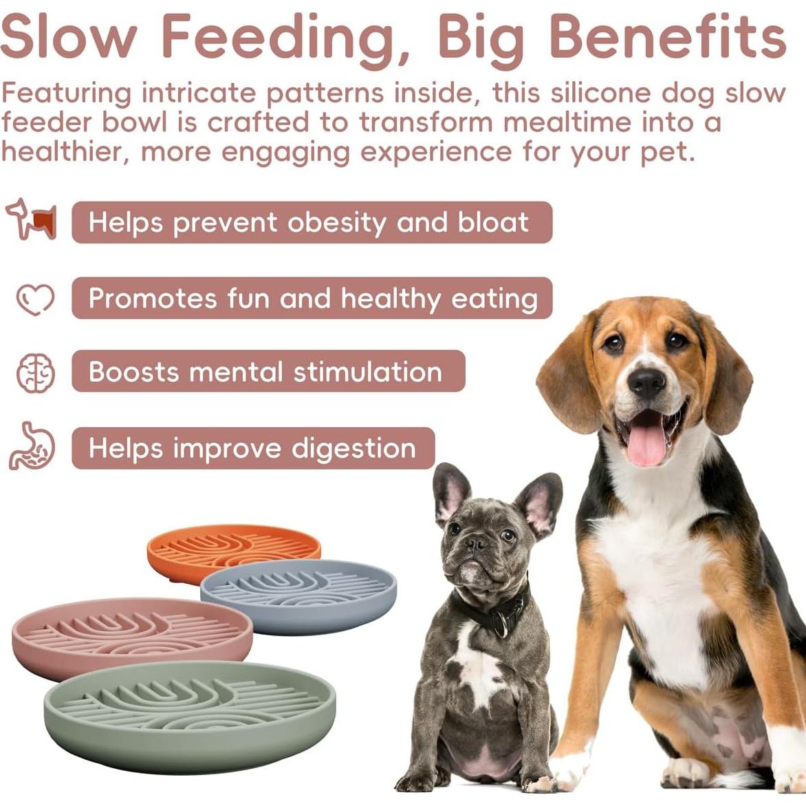 Cuenco de Alimentación Lenta AXEFUN Rosa 19.05 cm Antideslizante