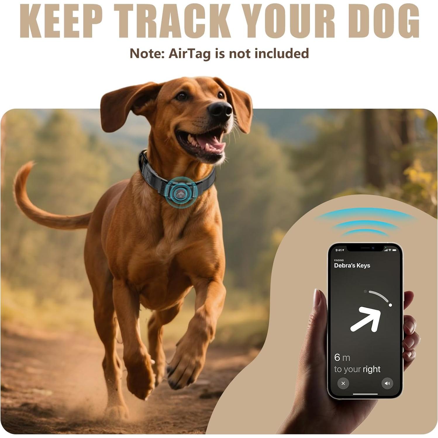 Collar de Cuero para Perro Zowpet con Soporte AirTag Negro M