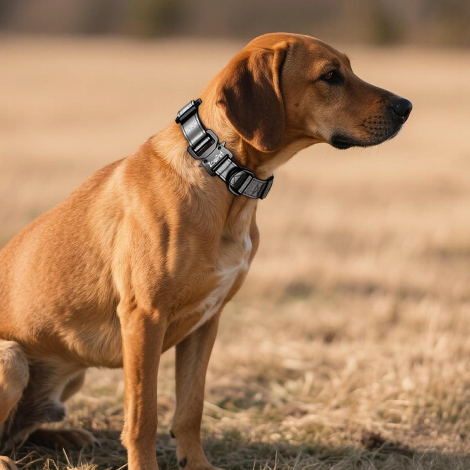 Collar de Cuero para Perro Zowpet con Soporte AirTag Negro M