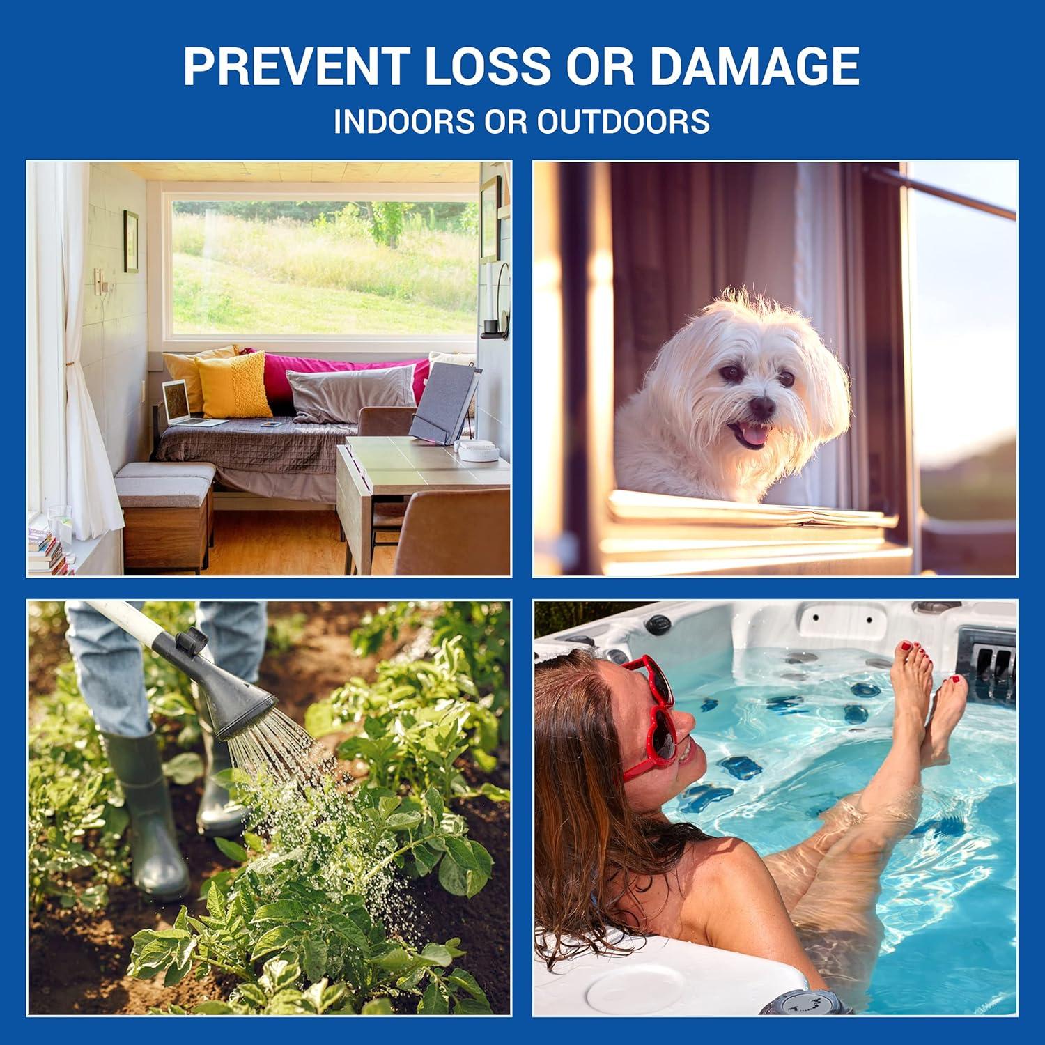 Sensor de Temperatura Inalámbrico Zynect Thermote WiFi IP67