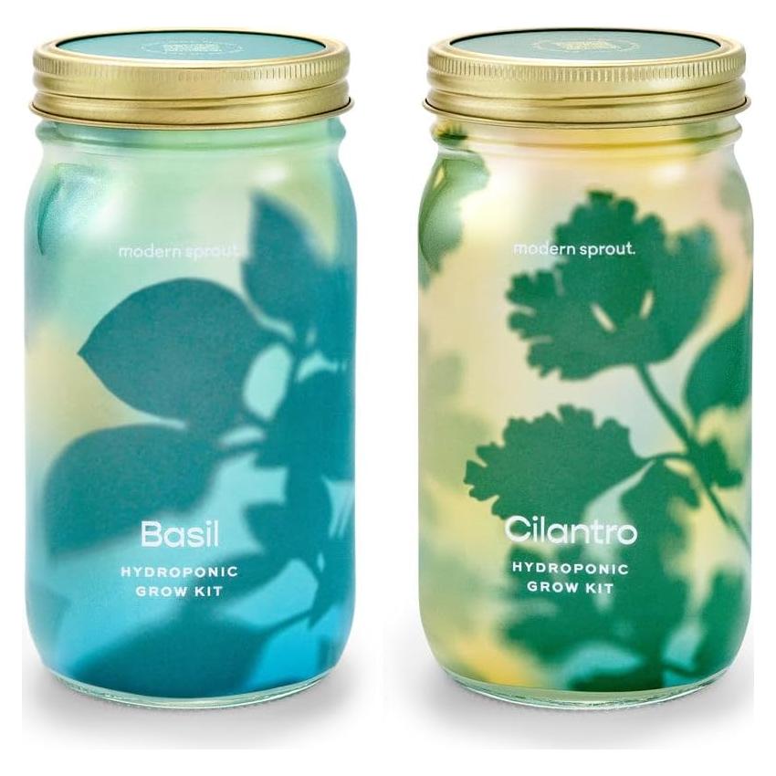 Kit de Cultivo Hidropónico Modern Sprout - Tarro Jardín Albahaca y Cilantro