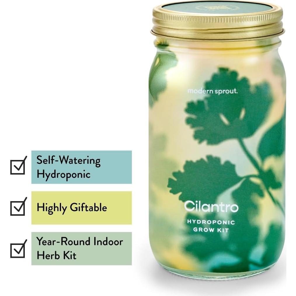 Kit de Cultivo Hidropónico Modern Sprout - Tarro Jardín Albahaca y Cilantro