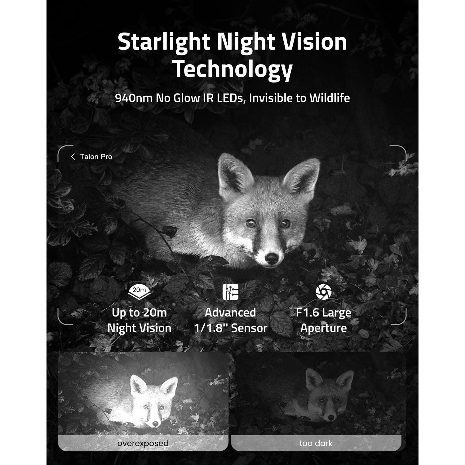 Cámara de Caza 4G LTE Camovue Talon Pro con Batería y SD 64GB