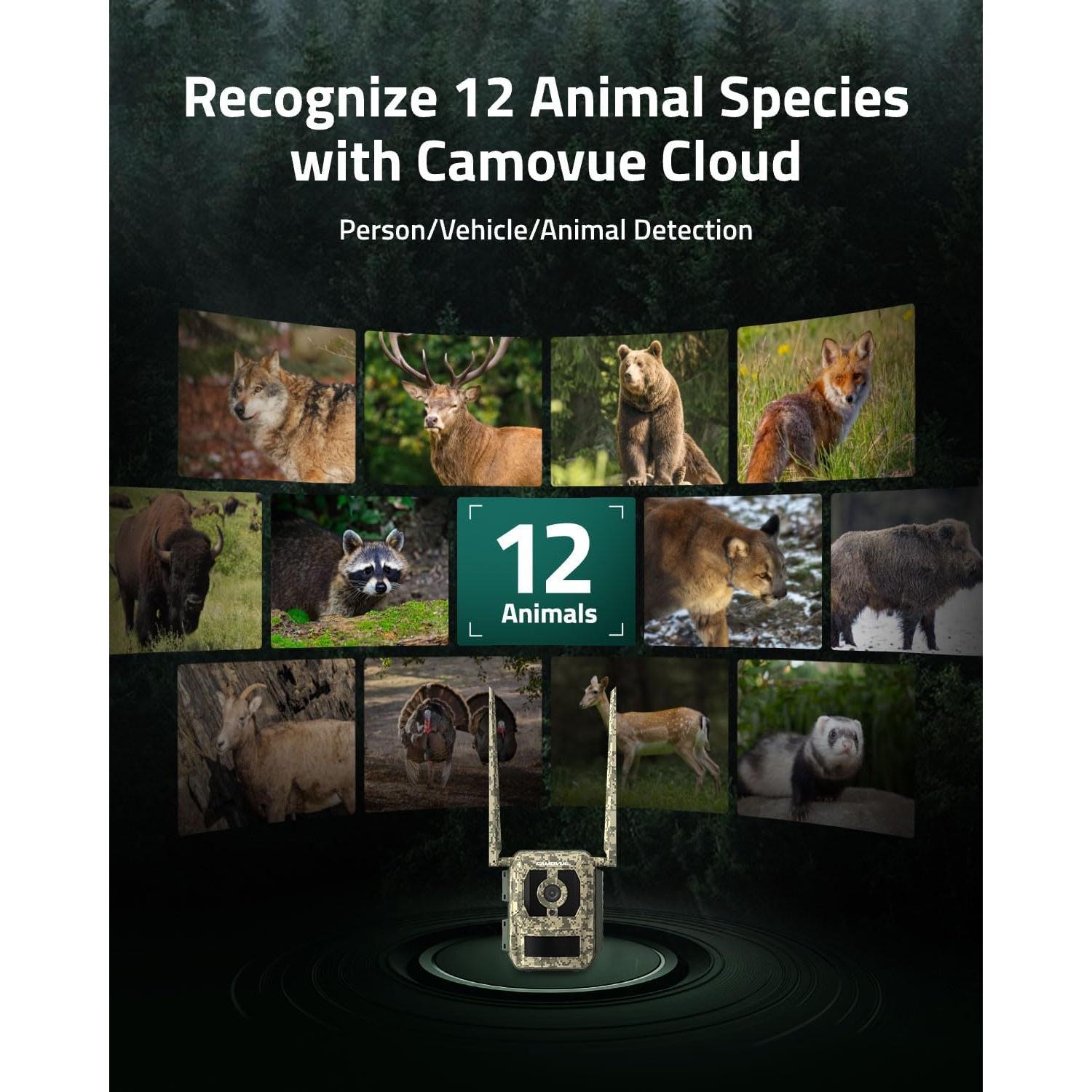 Cámara de Caza 4G LTE Camovue Talon Pro con Batería y SD 64GB