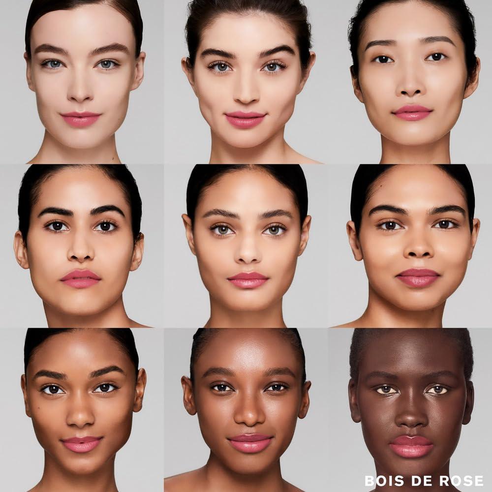 Labial Crema Estée Lauder Pure Color 3.4g - 131 Bois De Rose