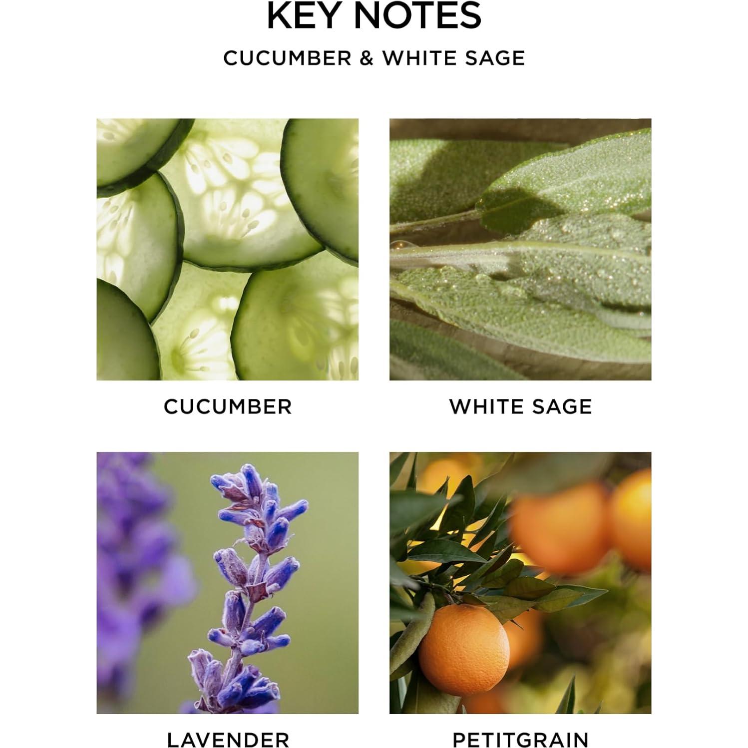 Difusor de cañas NEST New York Pepino y Salvia Blanca 175 ml